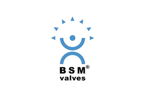 BSM
