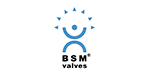 BSM
